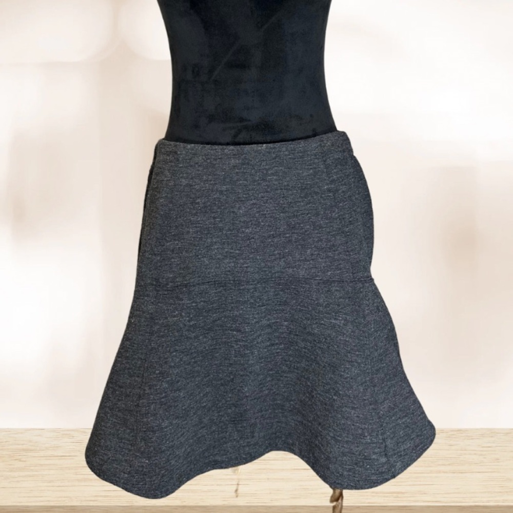 Elegant Gray Women's Skirt